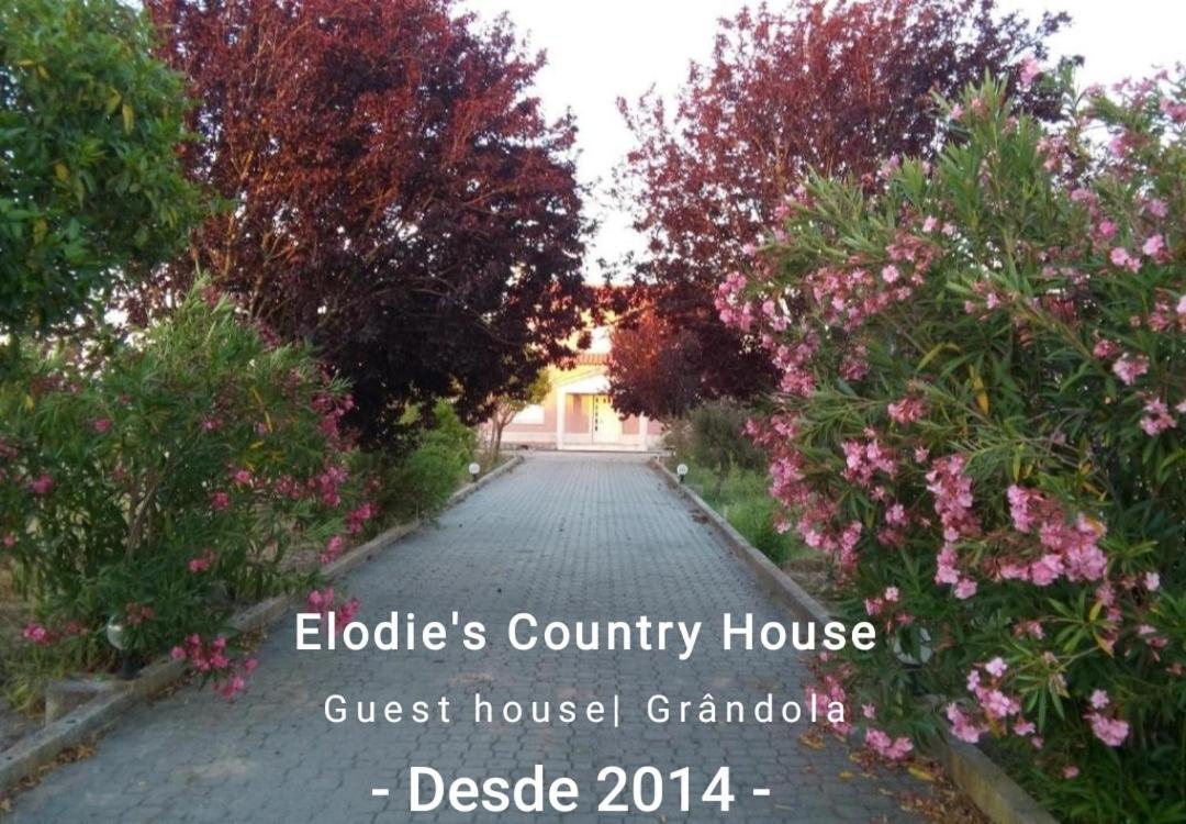 Elodie'S Country House - Alojamento Local Hotel Grandola Exterior photo