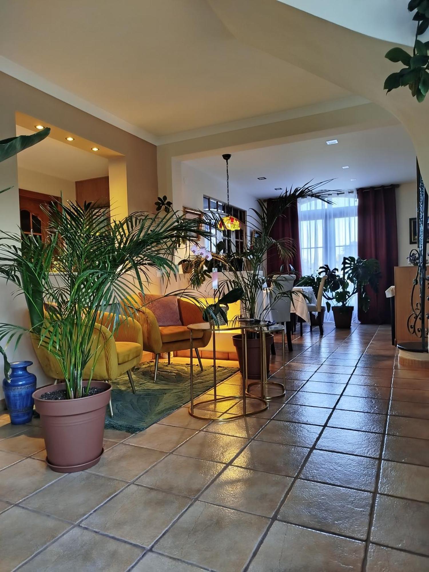 Elodie'S Country House - Alojamento Local Hotel Grandola Exterior photo